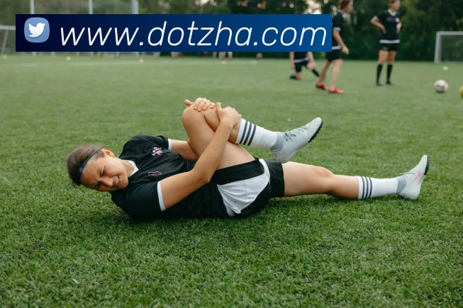 互动解说服务